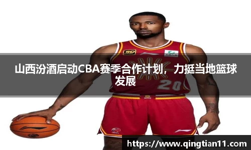 彩神VI首页官网