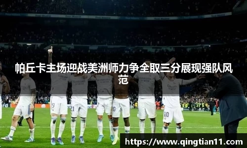 彩神VI首页官网