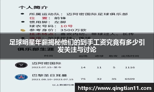 足球明星年薪揭秘他们的到手工资究竟有多少引发关注与讨论